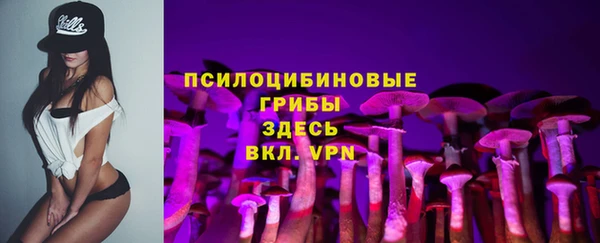 гидропоника Алзамай