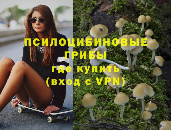 гидропоника Алзамай